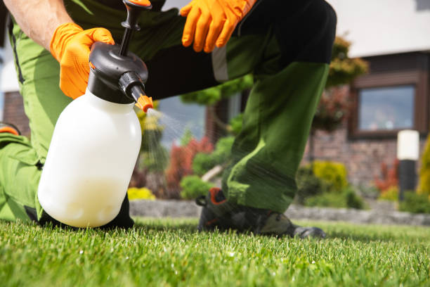 Best Termite Control Services  in Delray Beach, FL