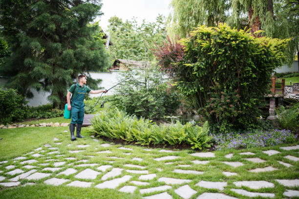 Pest Control Cost in Delray Beach, FL