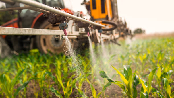 Pest Control Cost in Delray Beach, FL